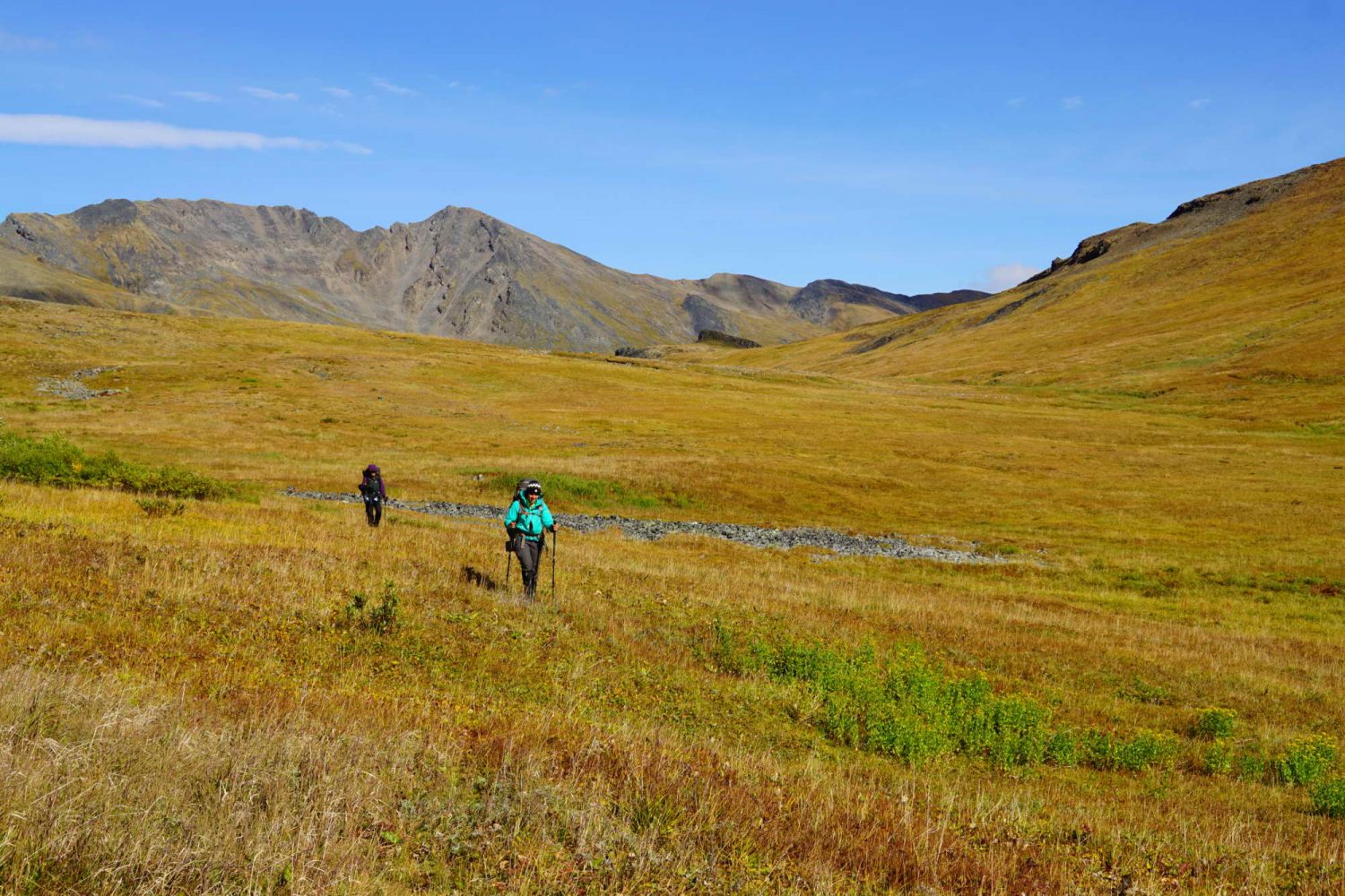 Backpacking-in-the-fall-colours-Along-the-ridge-Ogilvie-Mountains