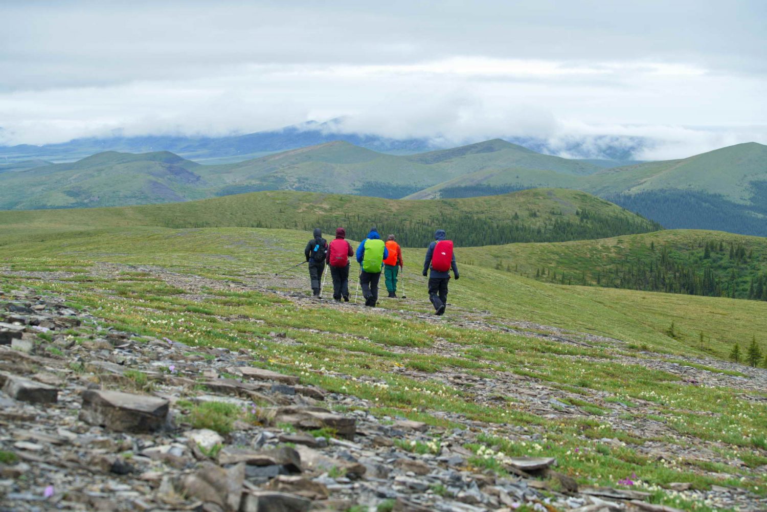Dempster-Highway-hiking-in-tundra