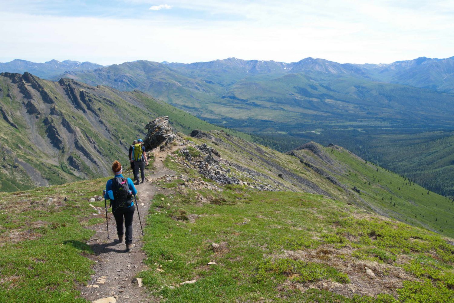 Tombstone-hikers-on-grizzly-trail