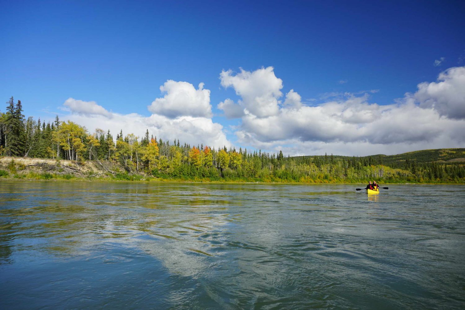 Yukon-river-paddlers-canoeing