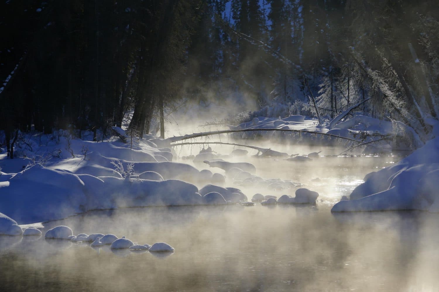 fog-winter-dempster-highway