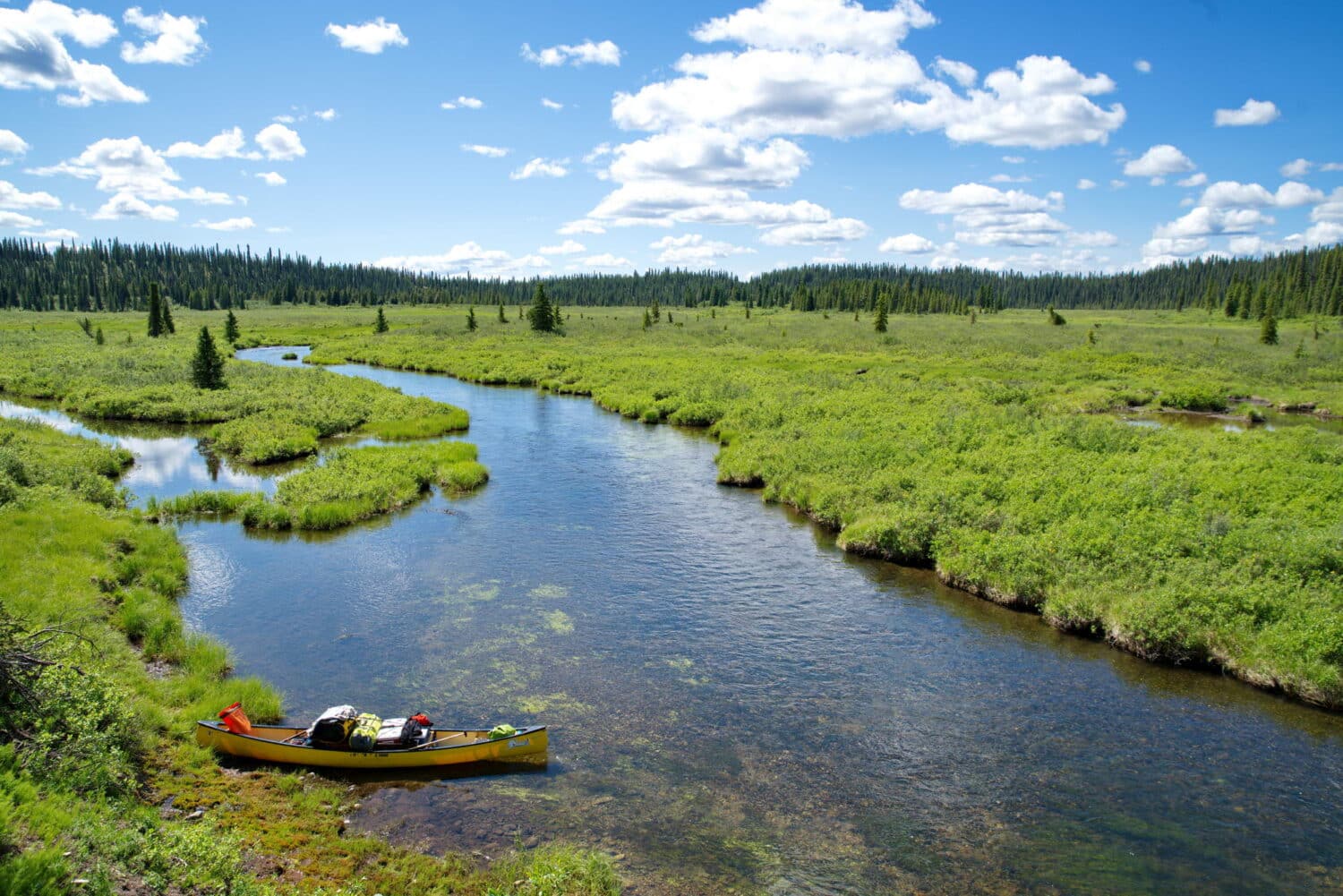 Caribou Creek Liard river
