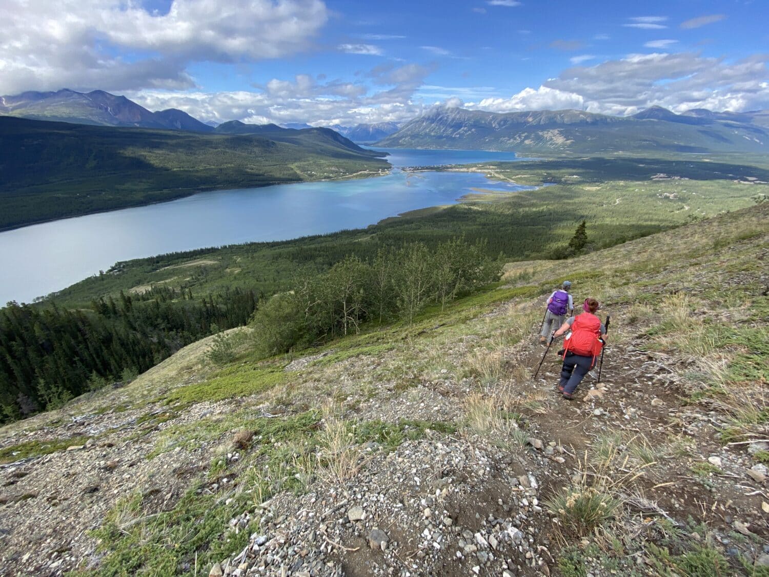 Randonnée guidée Yukon, vue sur Lac Bennett et des randonneurs