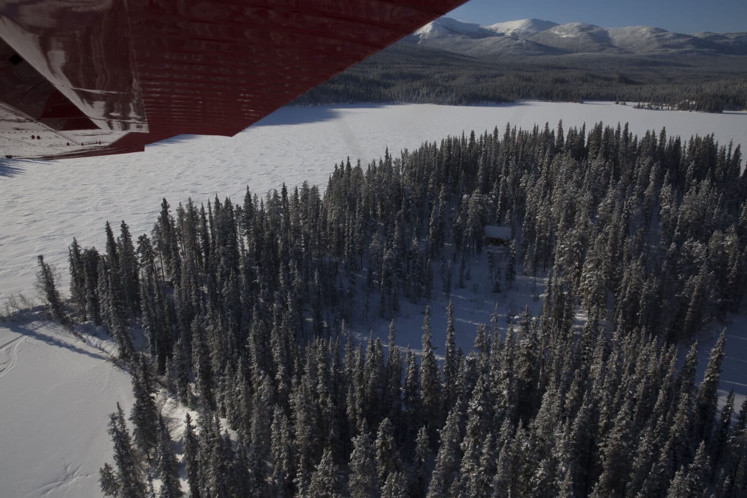 Flying over the island on Big Salmon lake