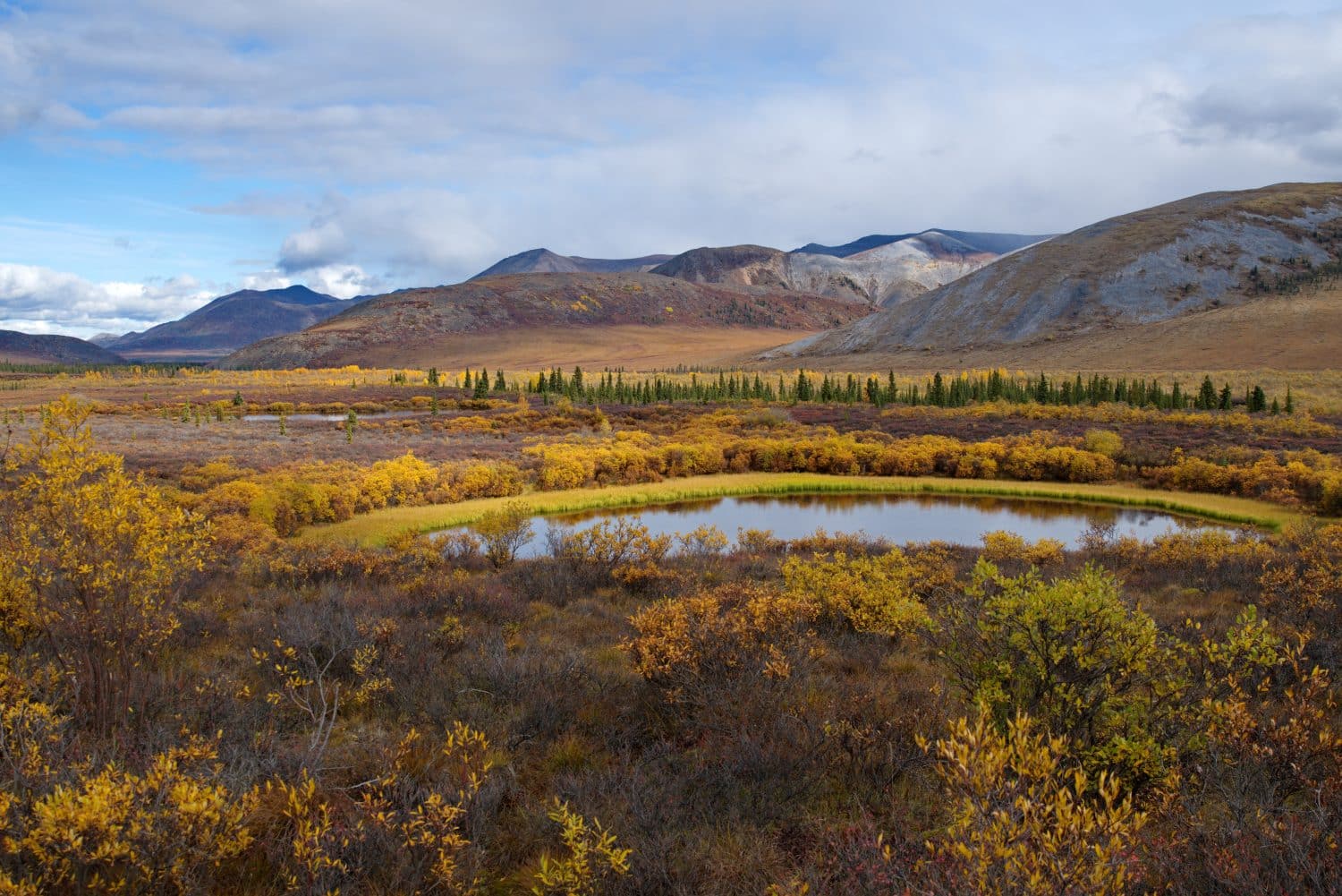 fall colors in Tombstone territorial park