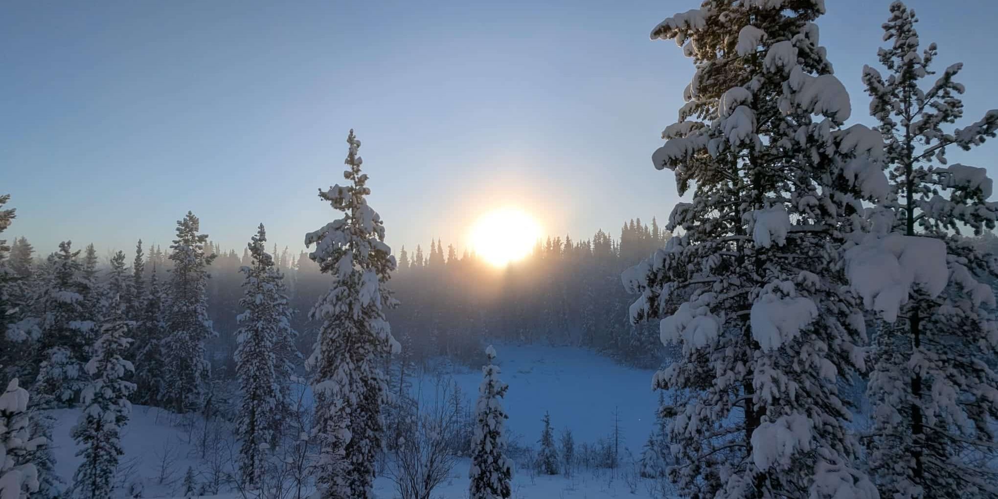 WhatsApp Image 2025-12-10 at 2.39.47 PM sun above snowy trees in Whitehorse Yukon